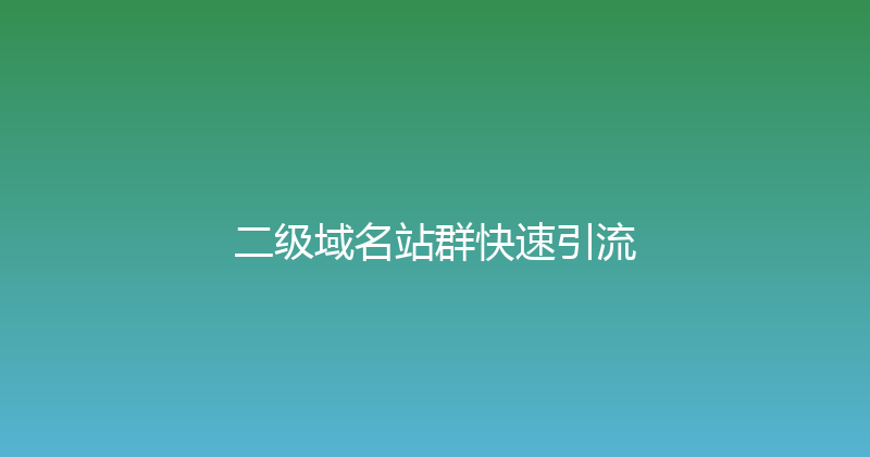 二级域名站群快速引流 封面图