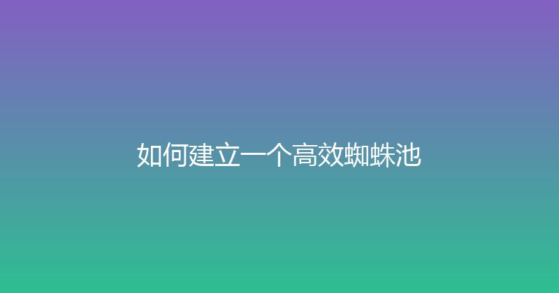 如何建立一个高效蜘蛛池 封面图