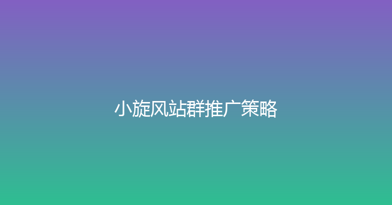 小旋风站群推广策略 封面图