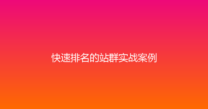 快速排名的站群实战案例 封面图