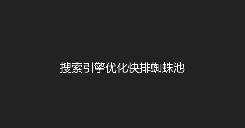 搜索引擎优化快排蜘蛛池 封面图