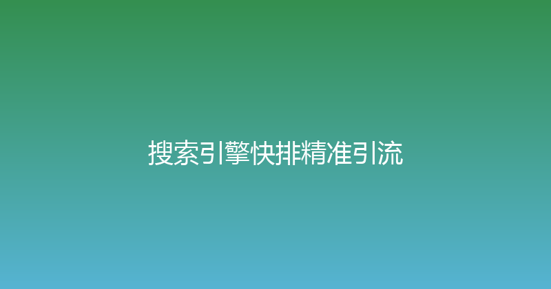 搜索引擎快排精准引流 封面图