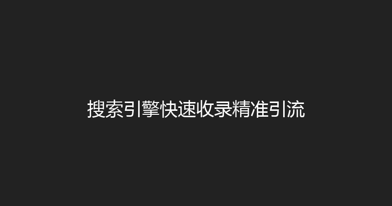 搜索引擎快速收录精准引流 封面图