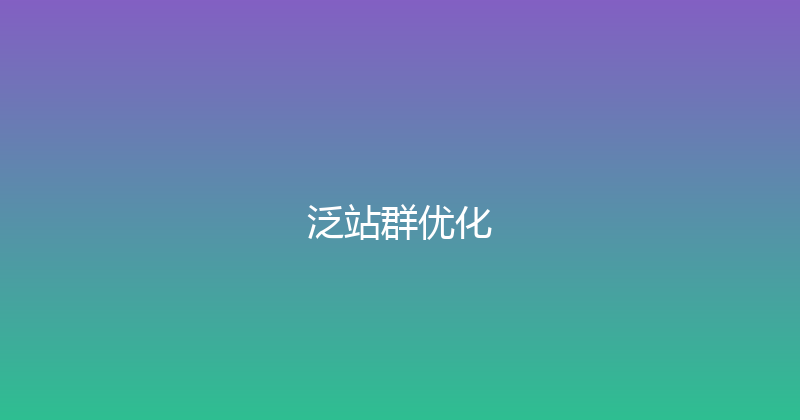 泛站群优化 封面图