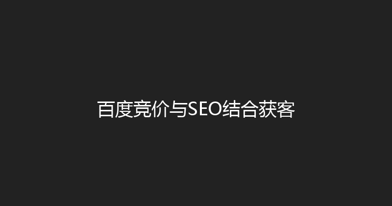 百度竞价与SEO结合获客 封面图