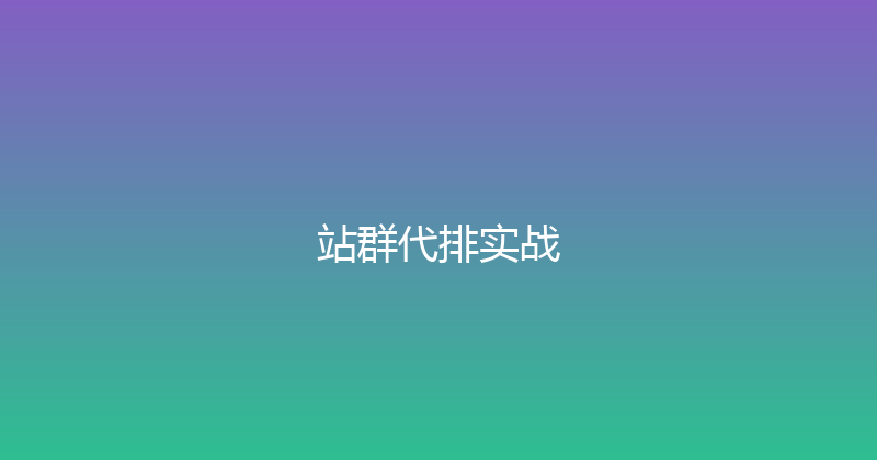 站群代排实战 封面图