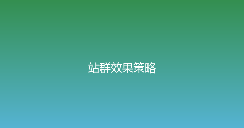 站群效果策略 封面图