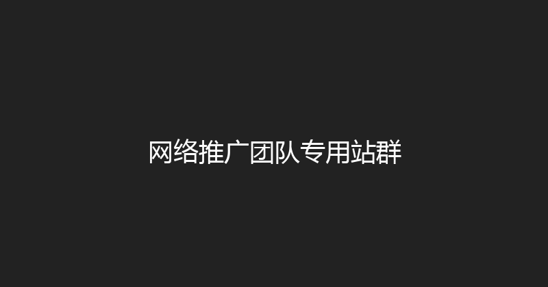 网络推广团队专用站群 封面图