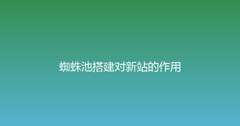 蜘蛛池搭建对新站的作用 封面图
